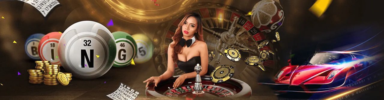 5558 bet