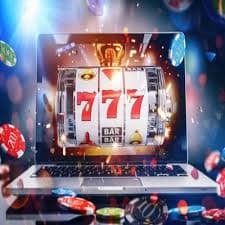 5558 bet