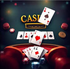 5558 bet
